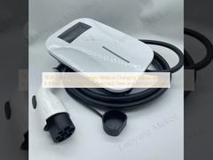 7KW 220V AC EV Şarj Cihazı Duvar Kutusu Şarj İstasyonu, 4,3 İnç Renkli Ekran, Galvanizli Çelik ve Temperli Cam