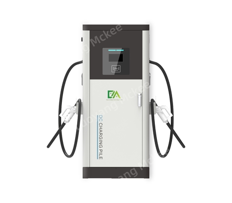 Dc Double Gun 60KW/80kW/120KW/160KW Ev Kullanımı Ticari Elektrikli Araç Hızlı Şarj Yığını / Şarj İstasyonu